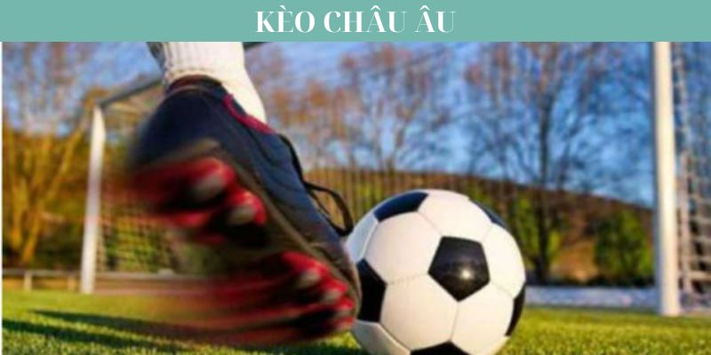 Kèo Châu Âu Và Những Chiến Thuật Hiệu Quả Khi Chơi 