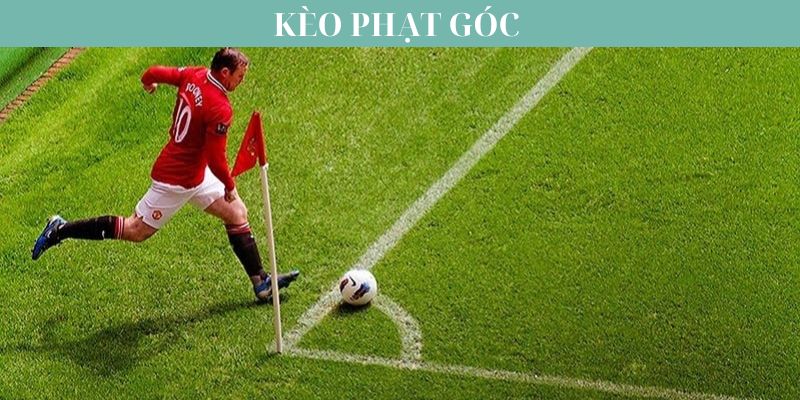 Các hình thức soi kèo phạt góc hiện nay